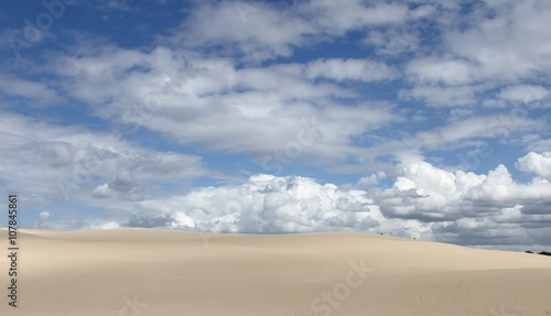Fototapeta Naklejka Na Ścianę i Meble -  la dune du pilat , bassin d'Arcachon
