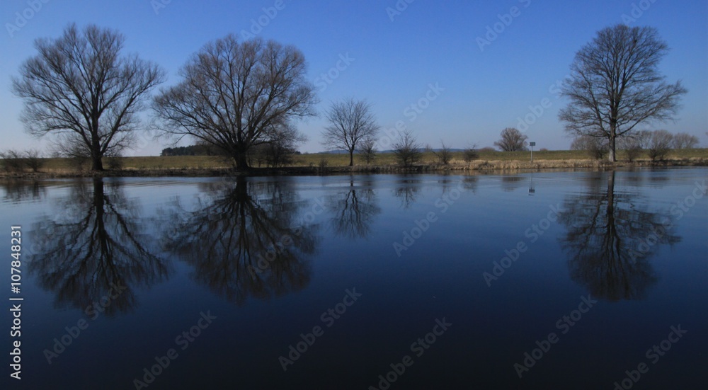 Obraz premium Havellandschaft bei Gülpe