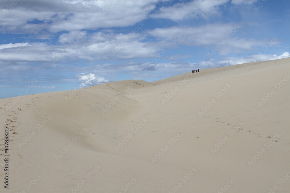 la dune du Pilat, bassin d'Arcachon