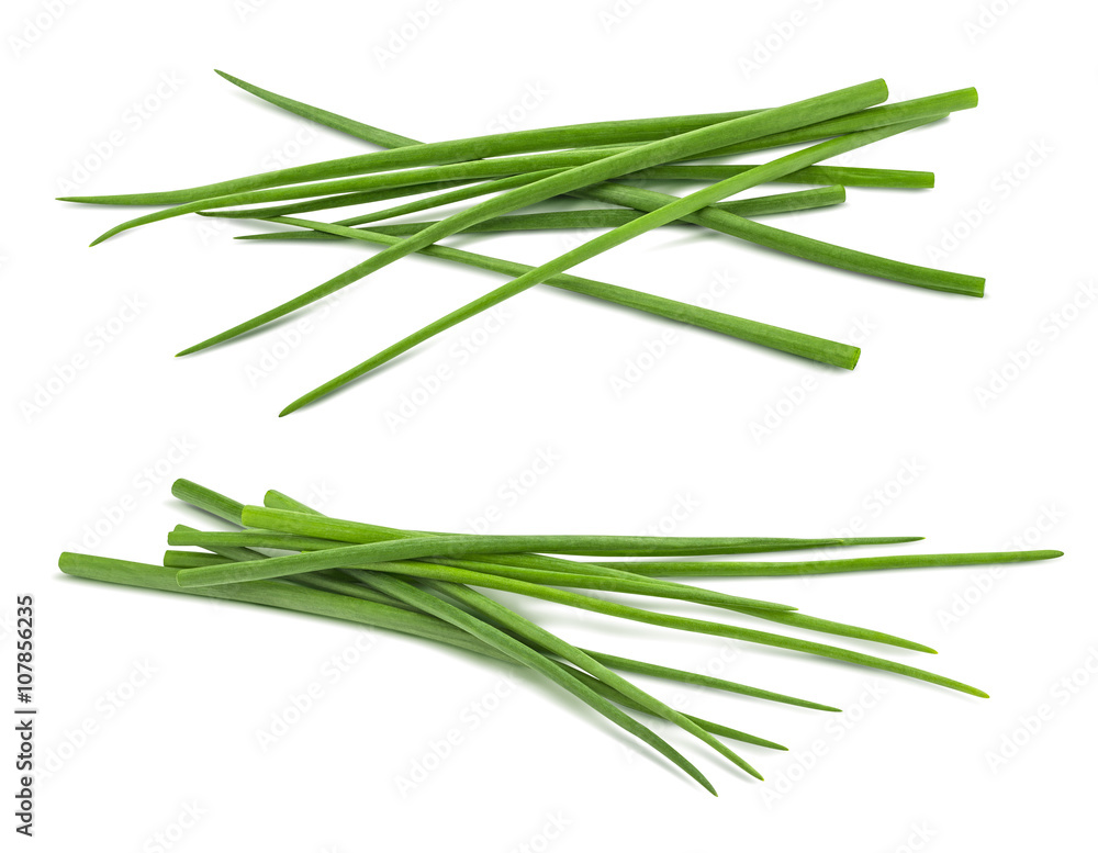 Double scallion spring onion bunch isolated on white Double scallion spring onion bunch isolated on white