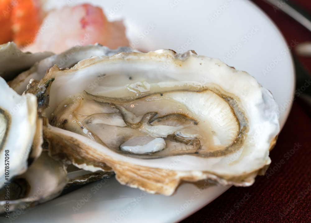 Oysters fine de Claire
Oysters fine de Claire