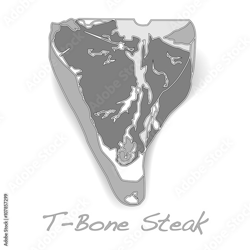 raw T-bone vectoron white background