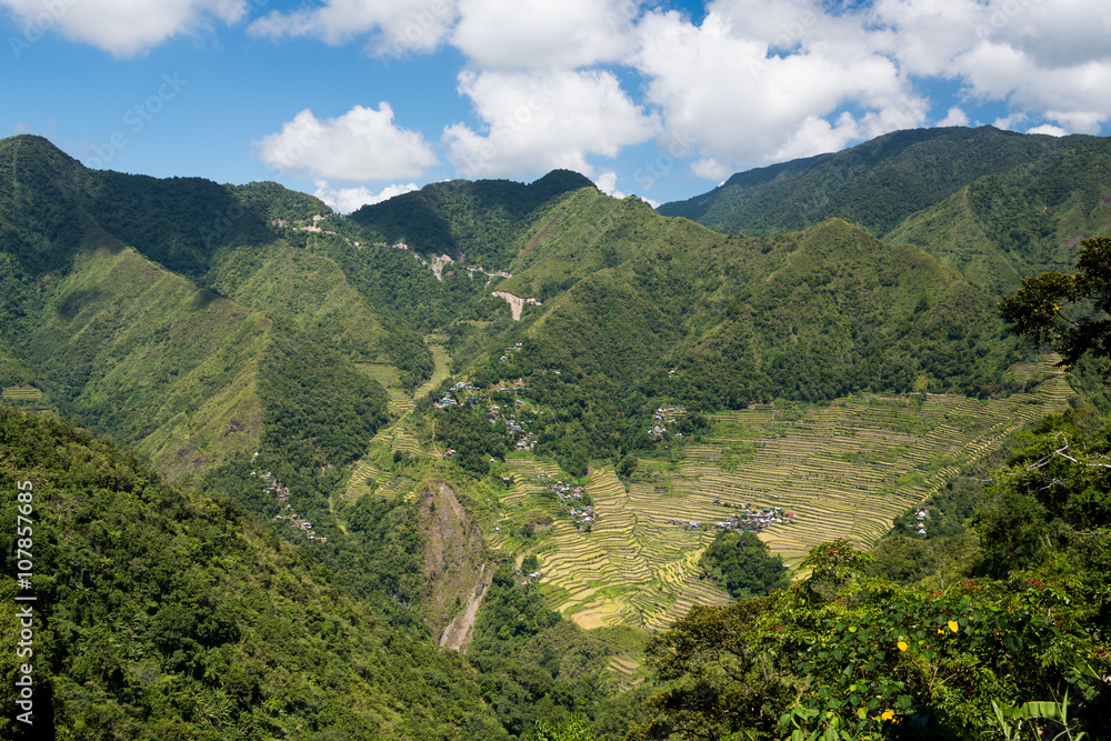 Naklejka premium Batad rice terraces in Banaue, Ifuego , Philippines. Batad is situated among the Ifugao rice terraces. It is perhaps the best place to view this UNESCO World Heritage site.