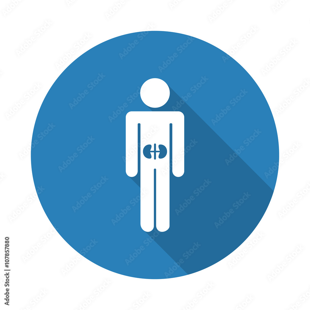 Flat white Kidneys web icon with long drop shadow on blue circle Flat white Kidneys web icon with long drop shadow on blue circle