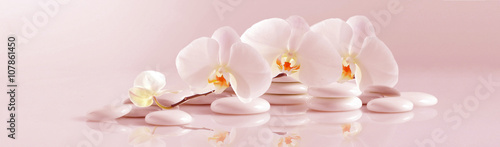White Orchid with white pebbles on the pale pink background. Panoramic image
