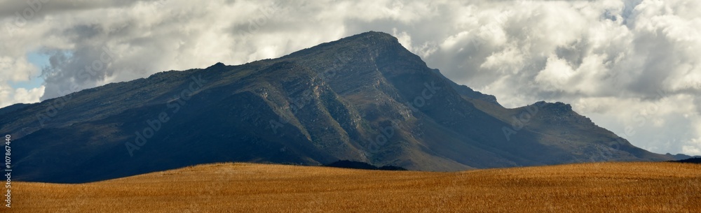 Fototapeta premium Landscape with Mountain and cloudy sky