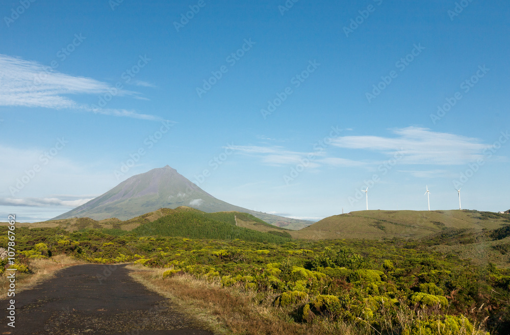 Azores, Pico island.