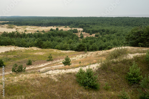Billede på lærred Woods and dunes of the Curonian Spit