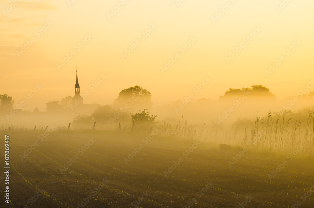 Obraz premium misty, sunny morning in the countryside