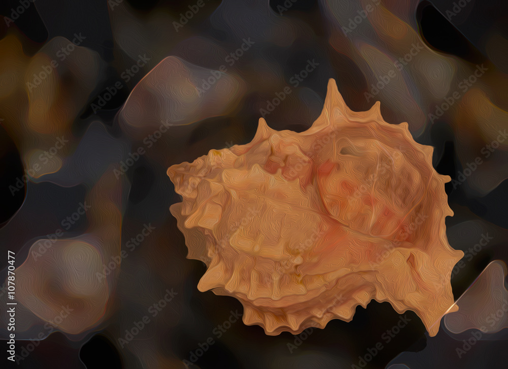 This isolated, glowing seashell appears to be adrift in the depths of the ocean, and makes a strong background based on abstracted nature. This isolated, glowing seashell appears to be adrift in the depths of the ocean, and makes a strong background based on abstracted nature.