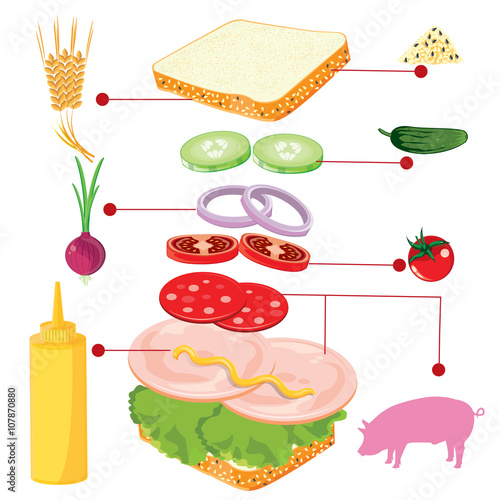 illustration. sandwich on white background.