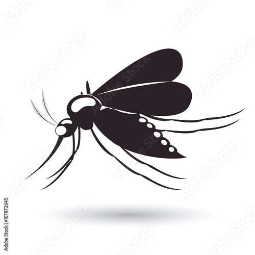 infectious gnat  design 