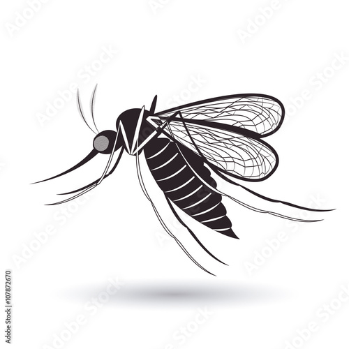 infectious gnat  design 