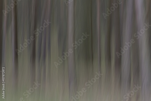 Abstract Pine Tree Blur by Panning