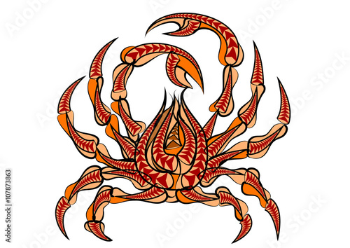 Photos spider crab