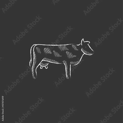 Cow. Drawn in chalk icon.