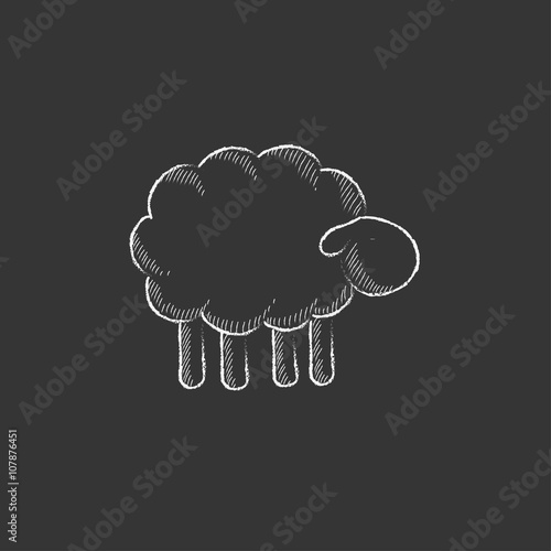 Sheep. Drawn in chalk icon.