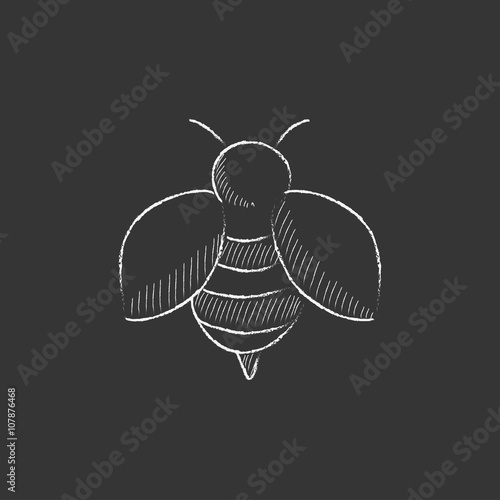 Bee. Drawn in chalk icon.