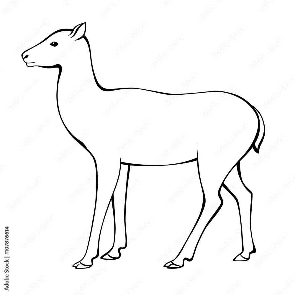 Fototapeta premium Deer animal black white isolated illustration vector 
