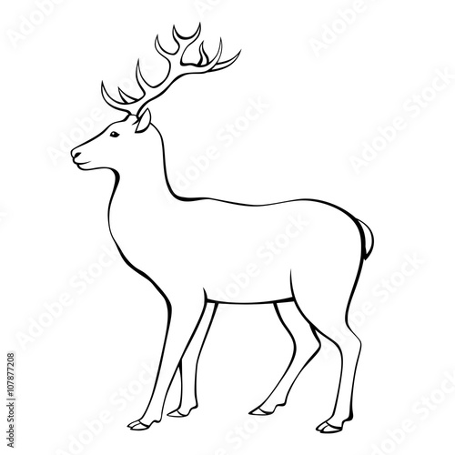 Deer horns animal black white isolated illustration vector 