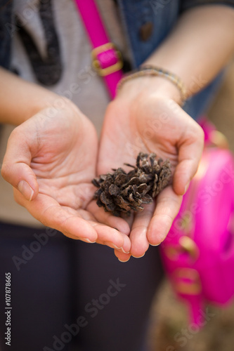 Pine cones in hands of a young girl.  Woman with a pink bag holding pine cones in her hands.