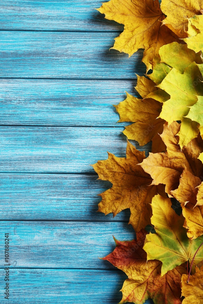 Autumn leafs on a blue wooden table Autumn leafs on a blue wooden table