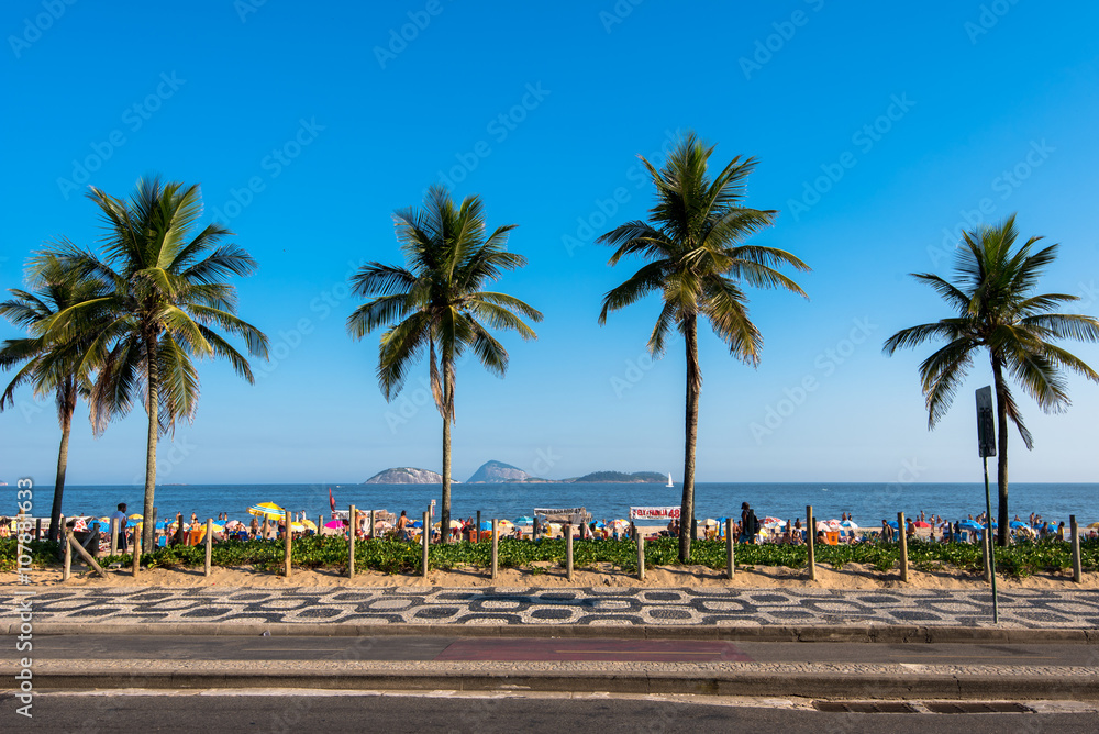 Palm Trees Along the Ipanema Beach