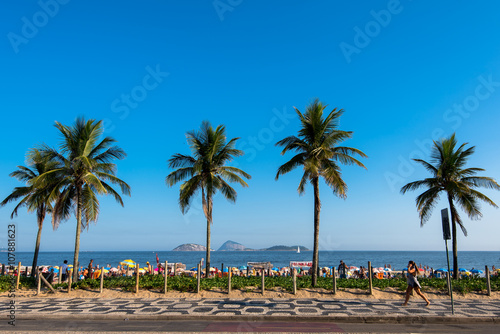 Palm Trees Along the Ipanema Beach © Donatas Dabravolskas