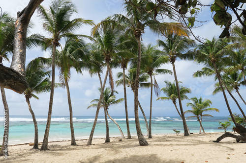 Palmen am Sand Strand mit Meer und Himmel in türkis und blau als Hintergrund © Jeanette Dietl