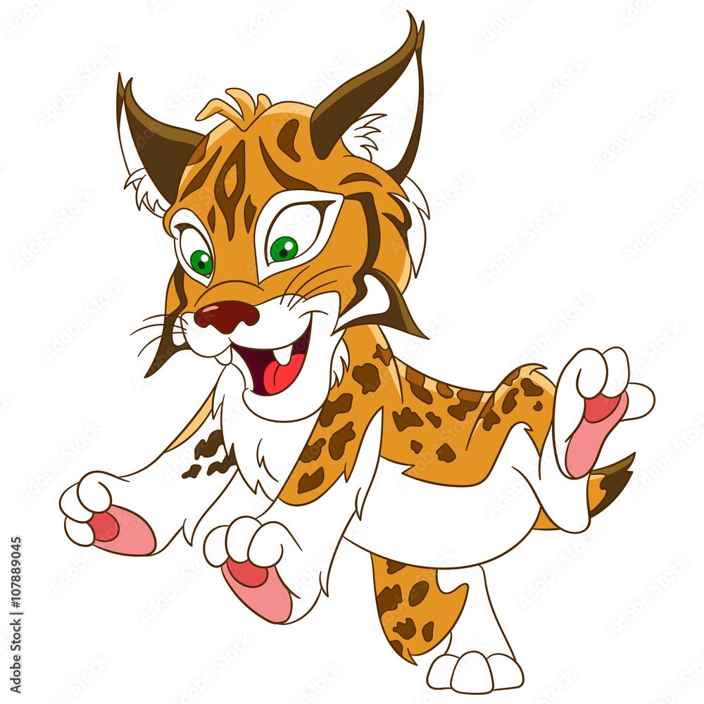 Fototapeta premium cute and happy smiling wildcat lynx (bobcat), isolated on a white background