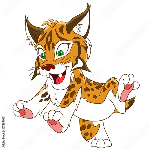 cute and happy smiling wildcat lynx (bobcat), isolated on a white background