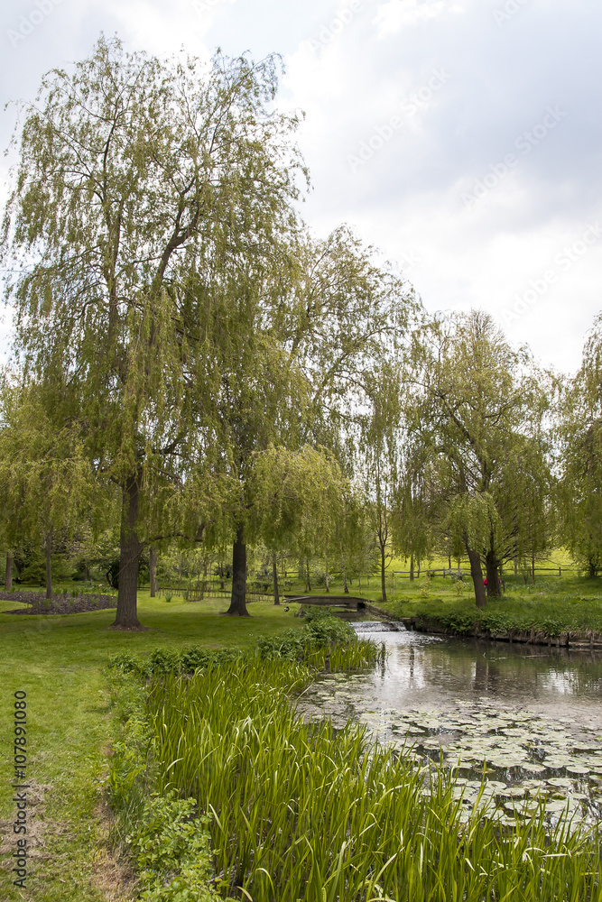 English park landscape