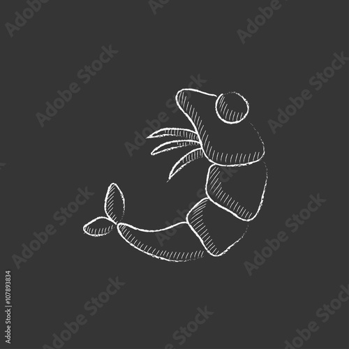 Shrimp. Drawn in chalk icon.
