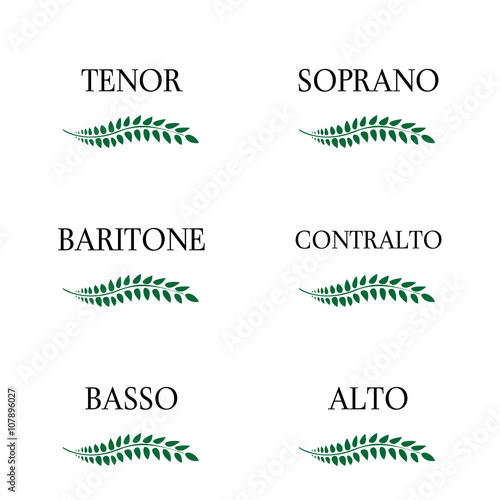 Singing Voice Types 3
