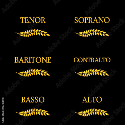 Singing Voice Types 4
