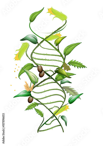 DNA spiral symboliserande GMO grödor