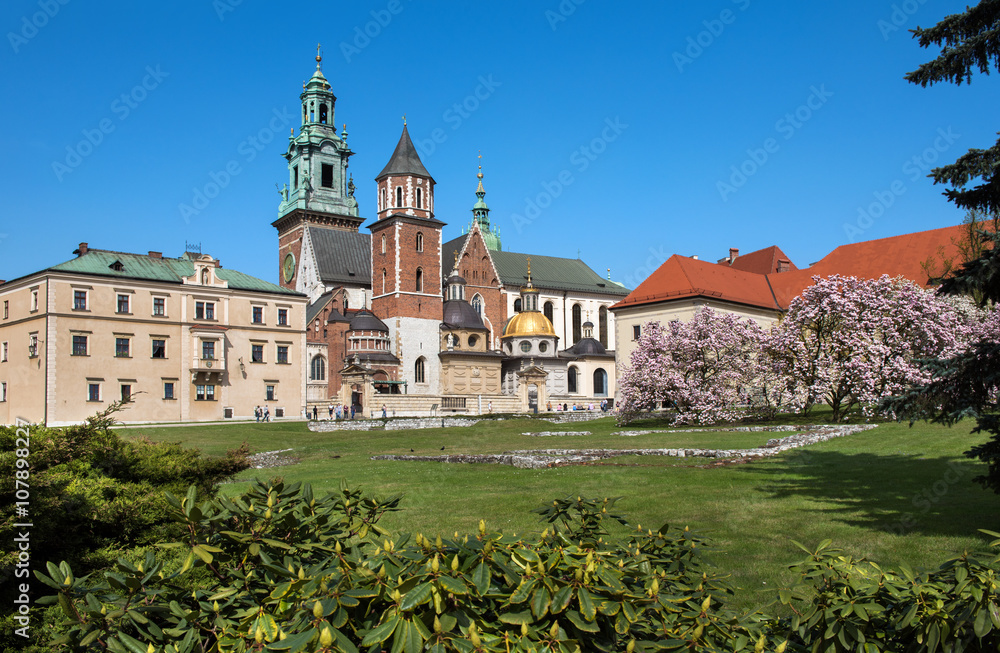 View on the cathedral on Wawel Hill in Krakow in Poland