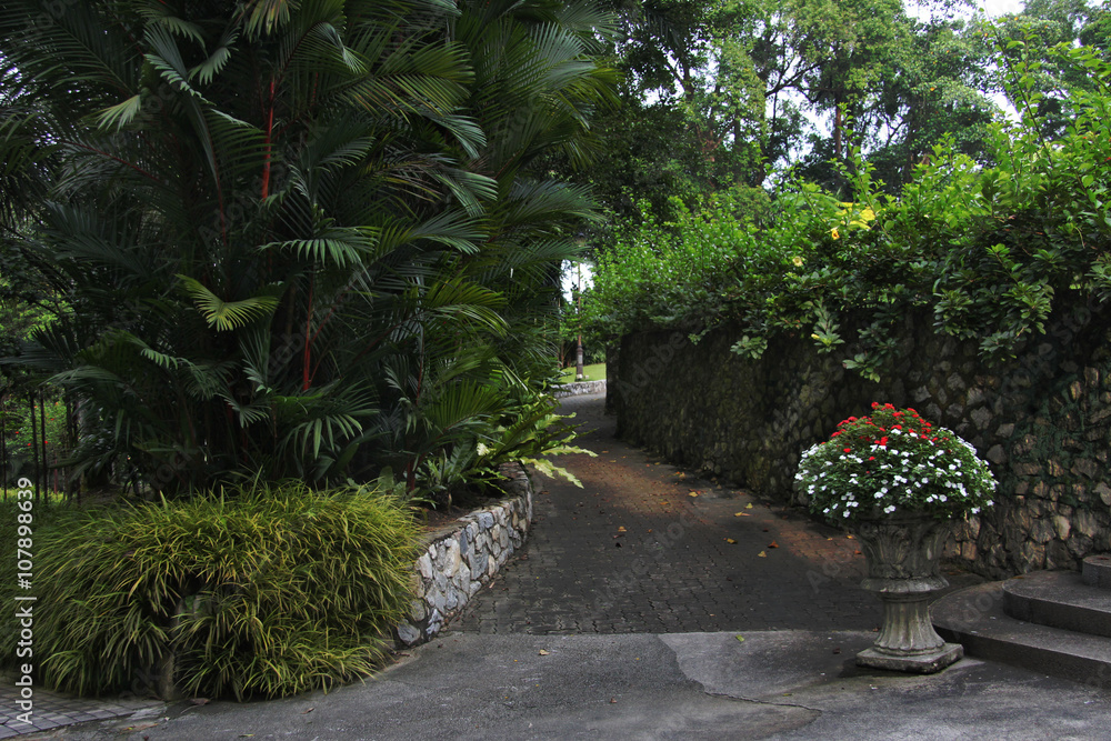 Obraz premium beautiful tropical park