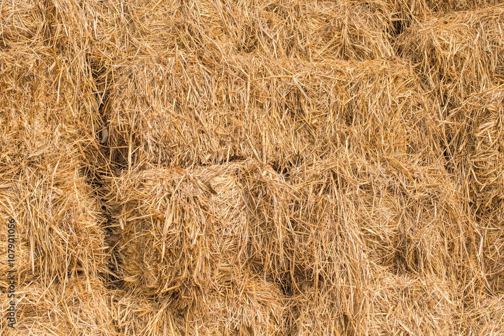 Hey stack, dry grass background Hey stack, dry grass background