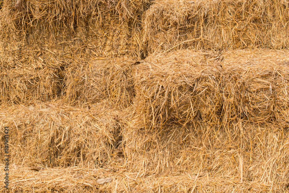Hey stack, dry grass background Hey stack, dry grass background