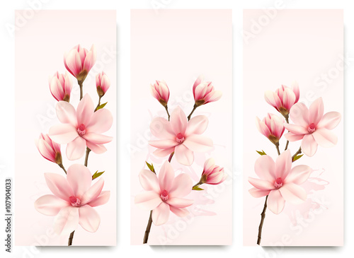 Set of nature flower magnolia banners. Vector.