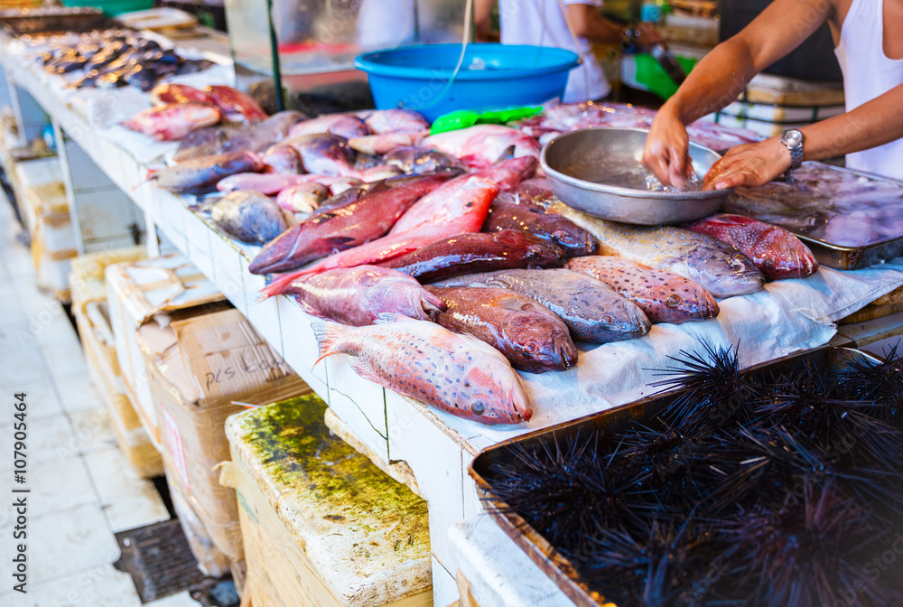 Seafood at fish market