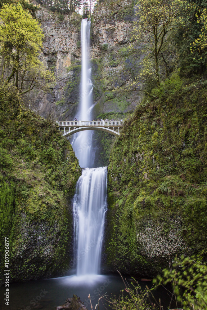 Fototapeta premium Multnomah Falls in Oregon 