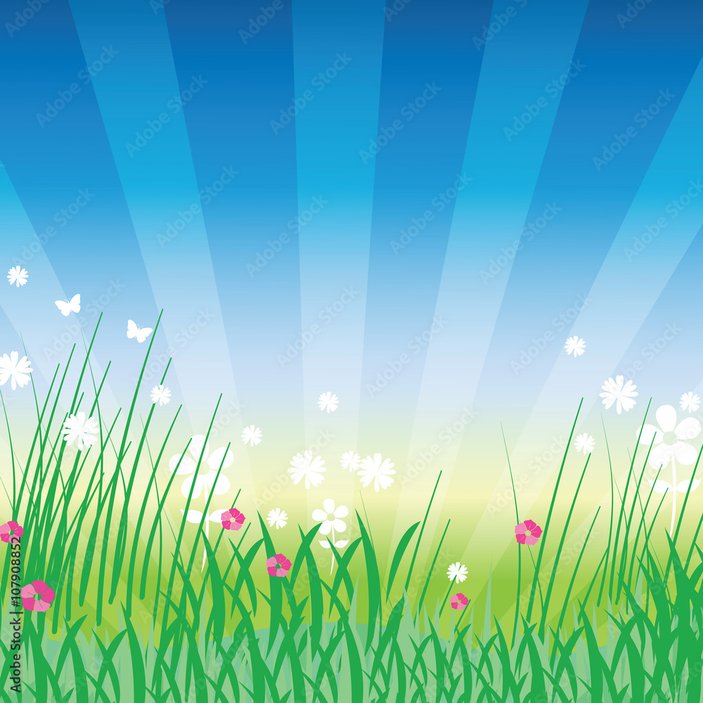 Obraz premium Summer background template