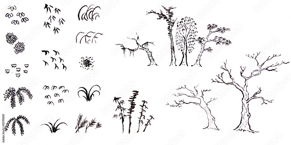 hand drawn ink trees and leaves