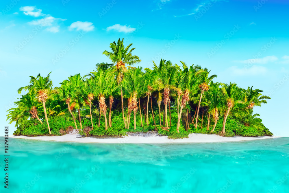 Obraz premium Whole tropical island within atoll in tropical Ocean.