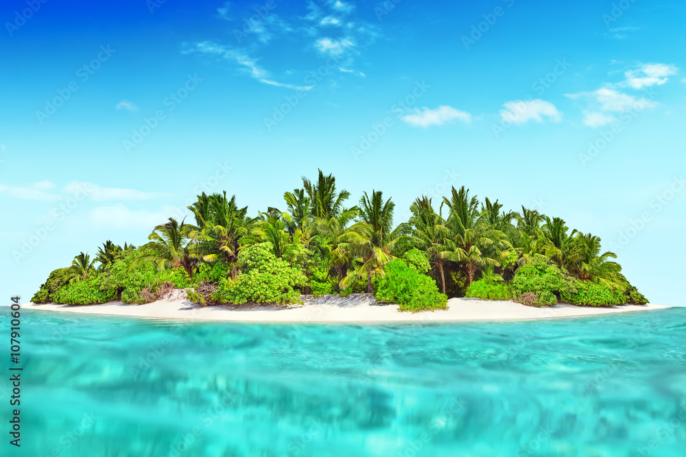 Whole tropical island within atoll in tropical Ocean.