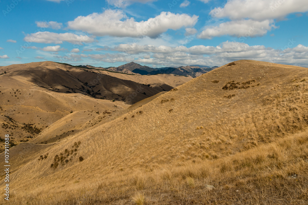 grassy slopes of Wither Hills, New Zealand