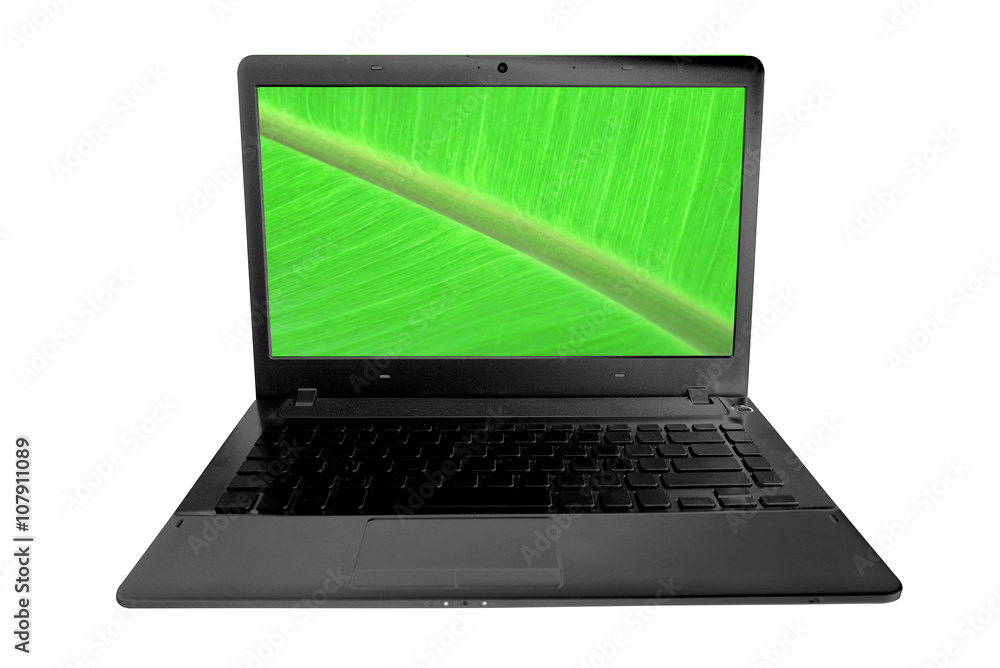 Open laptop showing green banana leaf on screen isolated on white background Open laptop showing green banana leaf on screen isolated on white background