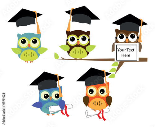 An illustration of a wise owl